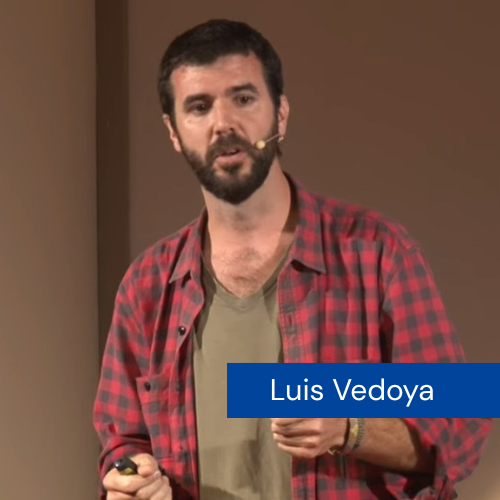luis vedoya